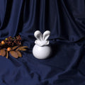 Săculeț cu Urechiușe – Cutie Decorativă handmade